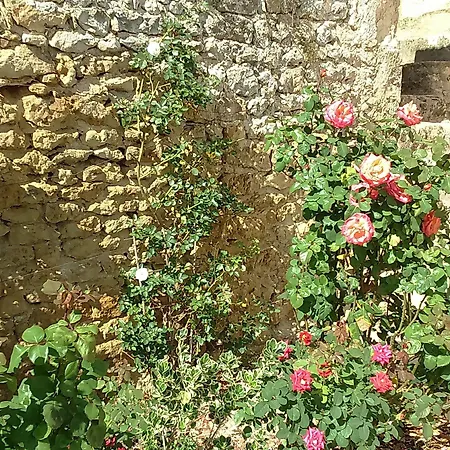 Le Vieux Chateau Bed and breakfast 3*