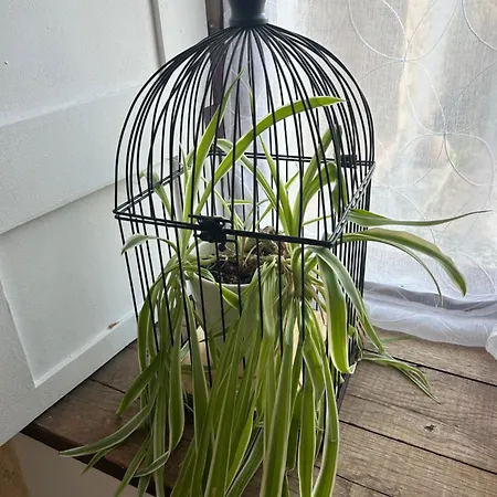 Le Vieux Chateau Bed and breakfast 3*